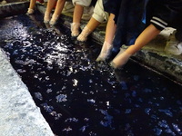 藍染をする児童②