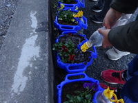 たっぷりと水やりをしています。