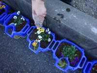 大きく育ってほしいな。