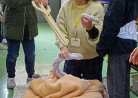 ロールプレイングをして、へその緒を切る様子の説明