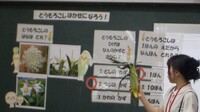 授業の様子①