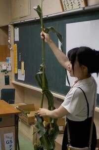 授業の様子②